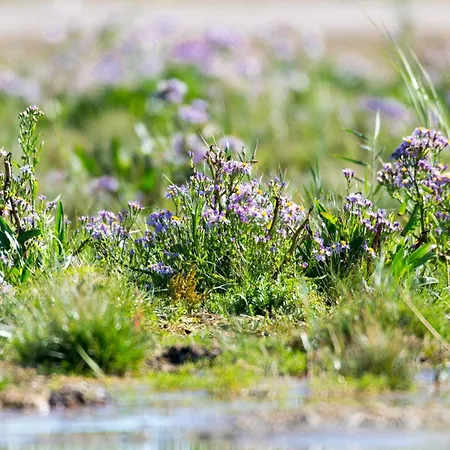 4 Person In Fano-by Traum
