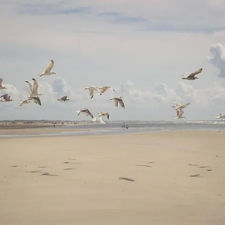 4 Person In * Fanø
